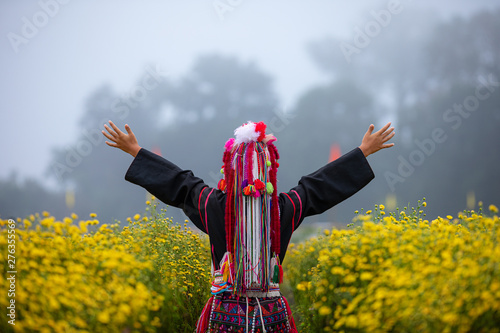 Photography thai karen mountain raise arms in the field of chrysanthemums flower plants