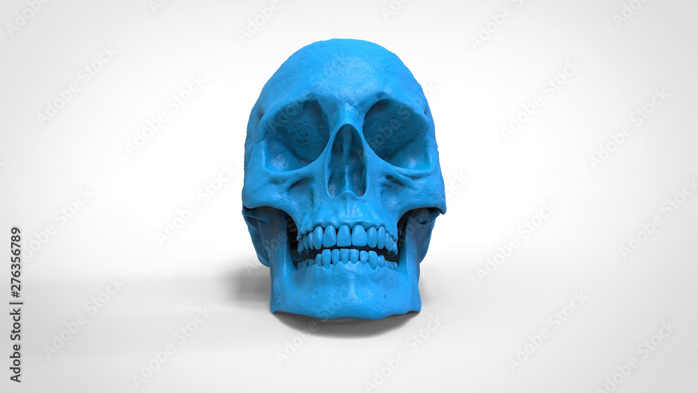 Obraz premium skull 3d printed isolated background