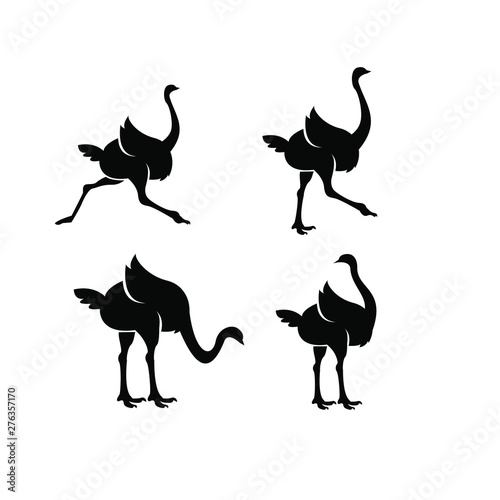 set of ostrich logo with outline and black color icon design vector illustration photo