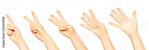 Hands with one, two, three, four and five fingers