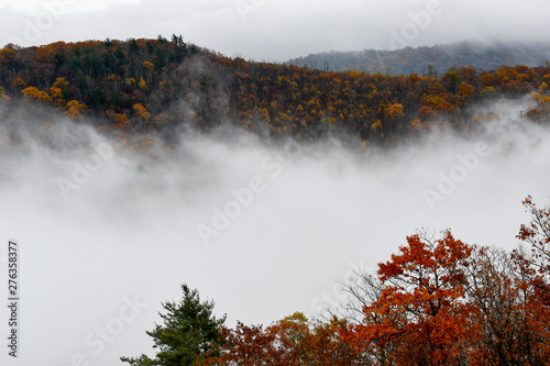 Aerial view of mountain forests engulfed in clouds during the autumn season