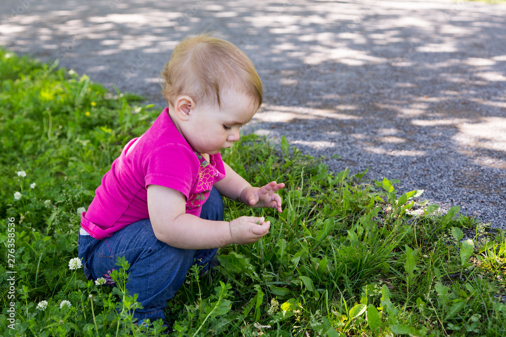 Horizontal side view of cute fair toddler girl crouched in clover patch picking and examining the flowers next to a dirt pathway, Quebec City, Quebec, Canada Horizontal side view of cute fair toddler girl crouched in clover patch picking and examining the flowers next to a dirt pathway, Quebec City, Quebec, Canada