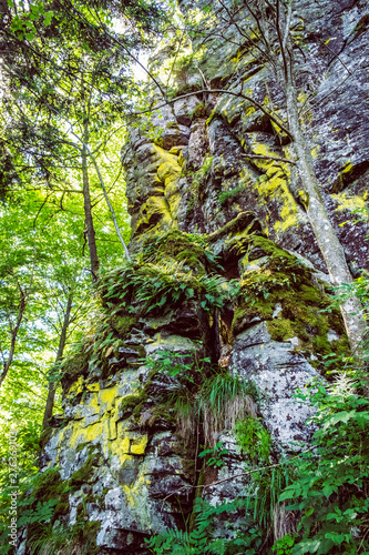 Rocks with moss  Hrb hill  Vepor mountains  Polana  Slovakia