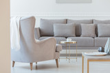 Simple grey couch in bright scandinavian living room interior