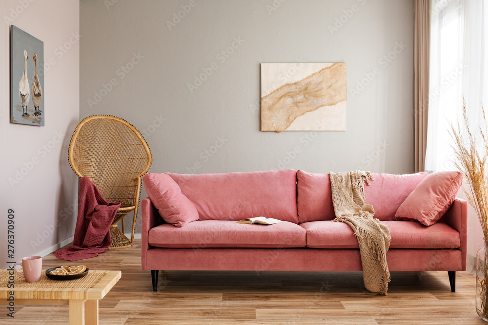 Wicker peacock chair with red blanket behind pink velvet couch - obrazy, fototapety, plakaty 