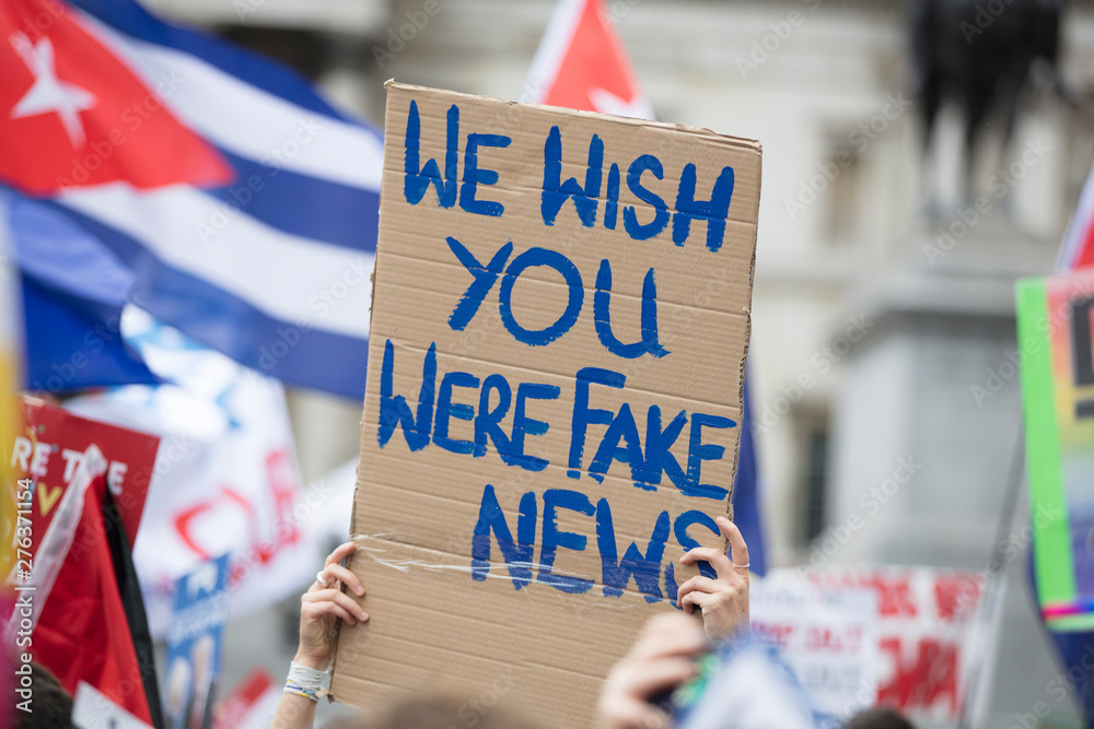 Fototapeta premium A protestor holds a political banner with you wish you were fake news message