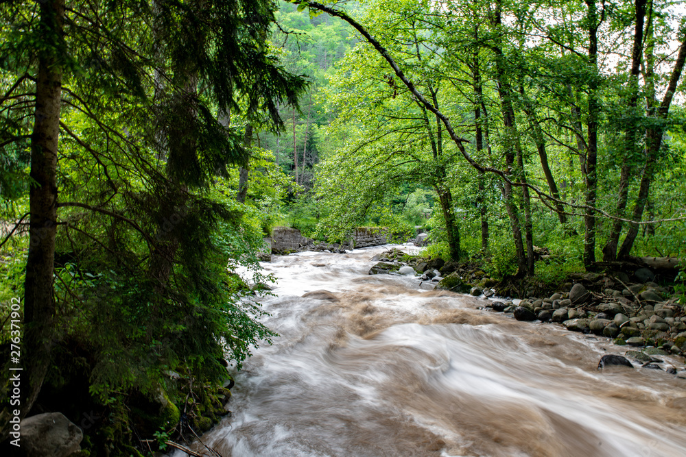 Fototapeta premium mountain river a lot of greenery and stones
