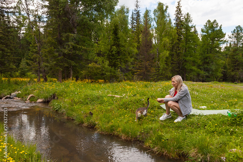 A picnic on the bank of a mountain river with green grass and yellow flowers against the background of coniferous trees and a blue sky with clouds; a beautiful blonde is sitting with cat