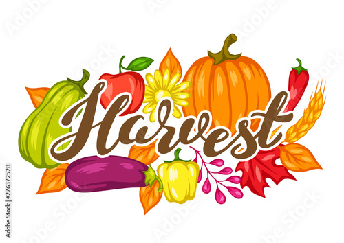Harvest festival background with fruits and vegetables.