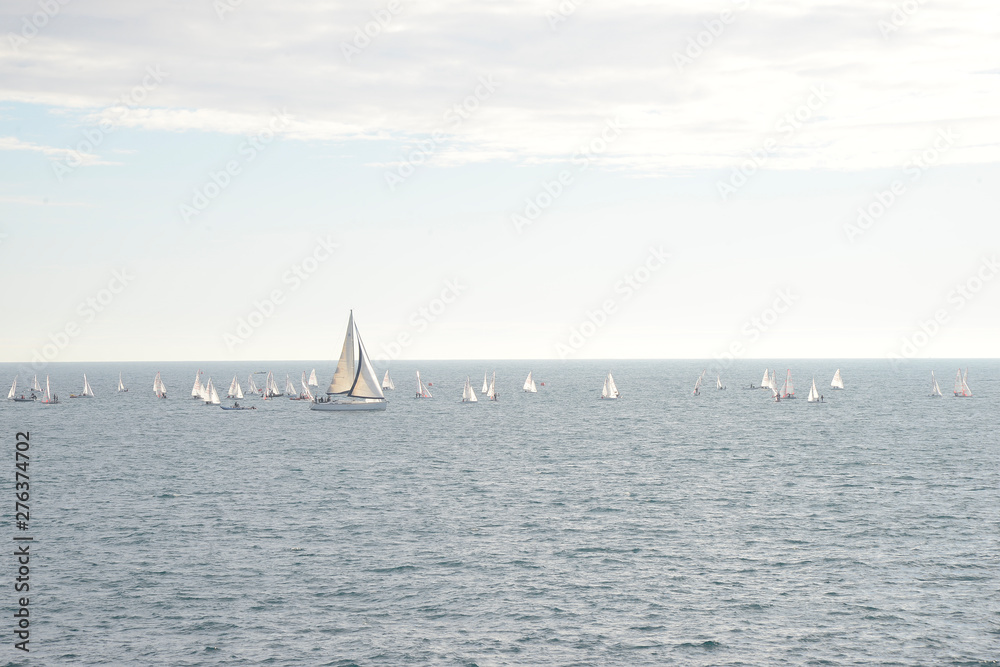 Sailboats in the middle of the sea