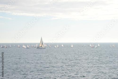Sailboats in the middle of the sea