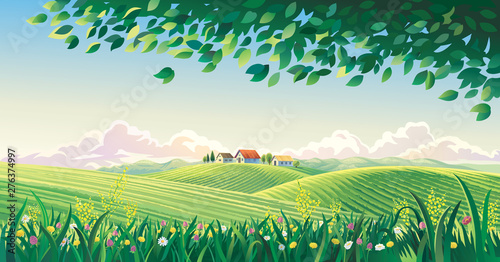 Rural summer landscape with flowers and grass in the foreground