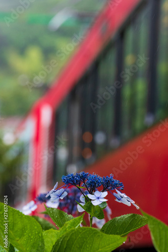 Wallpaper Mural 紫陽花 Torontodigital.ca