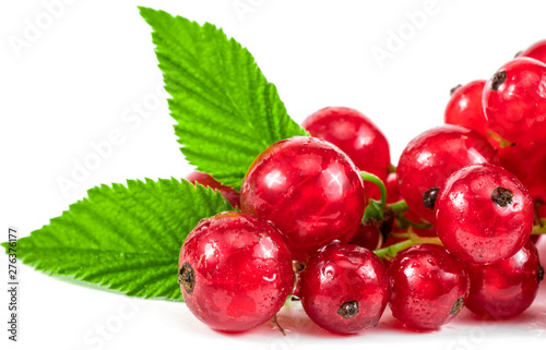 .red berries and green leaves on a white background