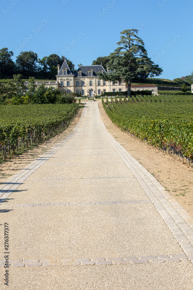 Vineyard of Chateau Fonplegade - name (literally fountain of plenty) was derived from the historic 13th century stone fountain that graces the estate's vineyard. St Emilion, France