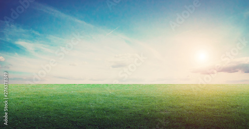 Grass field landscape panoramic