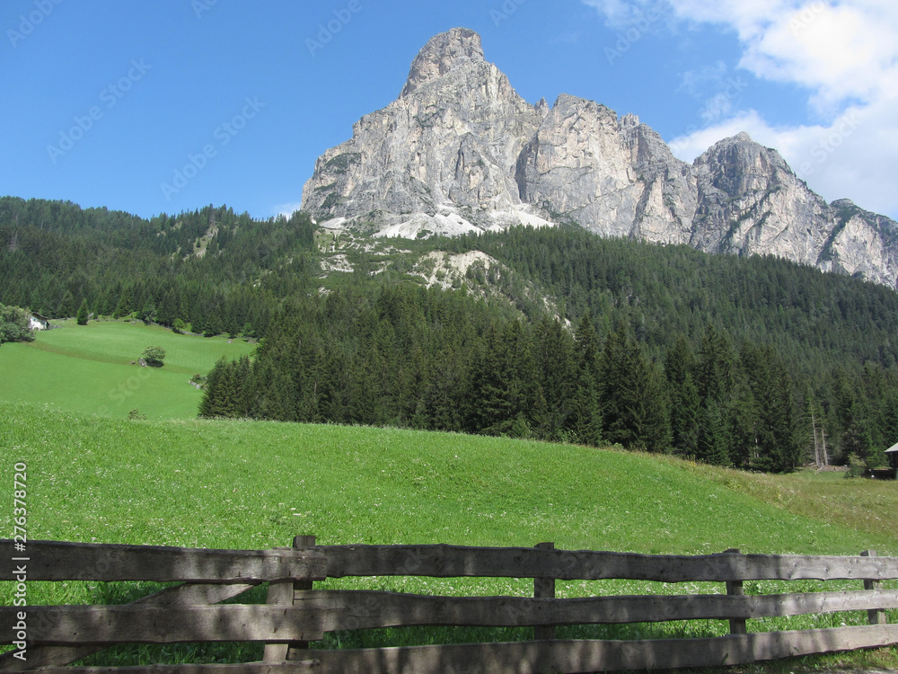 Alpine landscape with green pastures and firs against italian Dolomites at summer . View from La Villa village, Bolzano, Alto Adige, South Tyrol, Italy