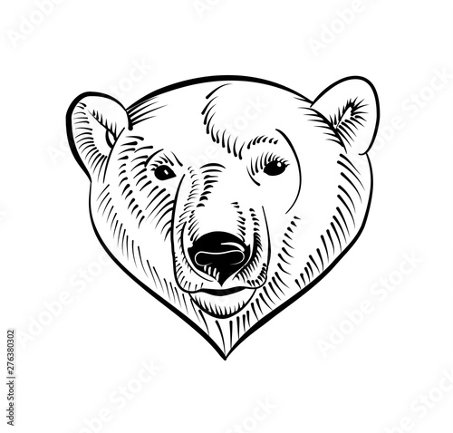 Linear polar bear head image. Sketch style. Vector illustration.