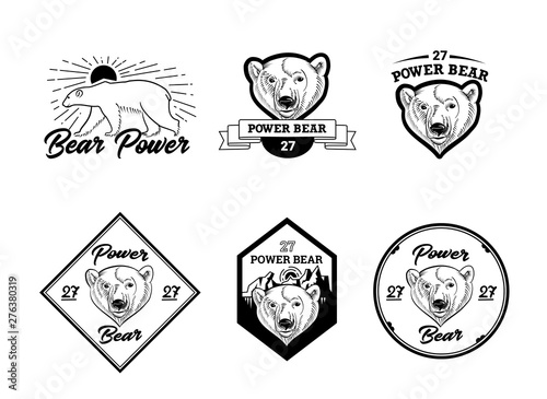 Linear style logo and badge design collection with polar bear head image. Vector illustration.