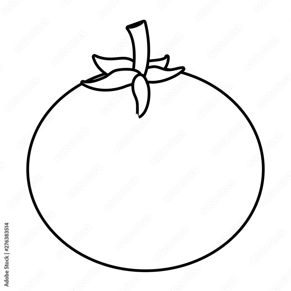 Isolated tomato design vector illustrator Isolated tomato design vector illustrator