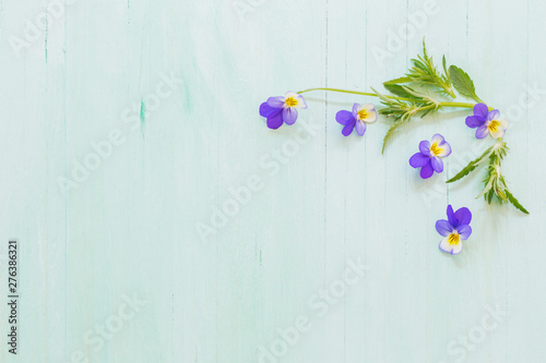 viola flowers on wooden background