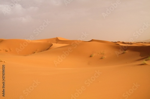 Lonely isolated sand dunes belt in the Sahara desert near Erg Chebbi  Morocco