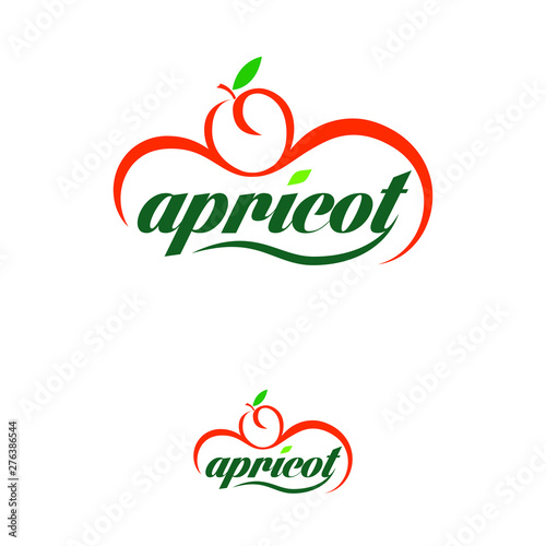 Modern Apricot Logo Design Template