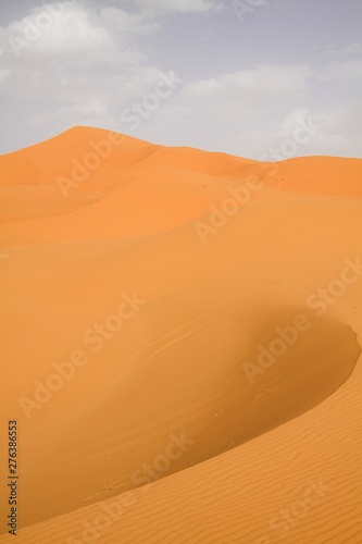 Lonely isolated sand dunes belt in the Sahara desert near Erg Chebbi  Morocco