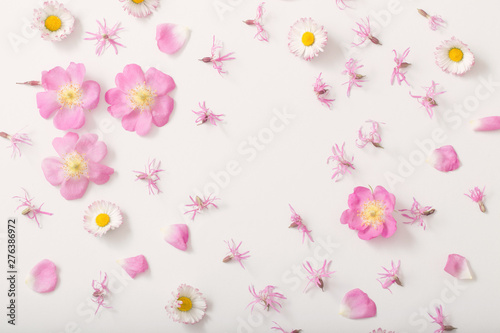 summer flowers on white background