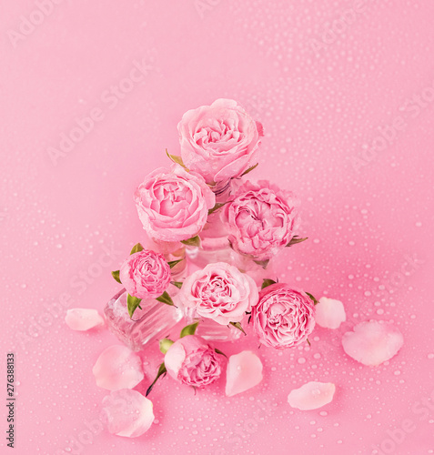 pink roses on pink background. spring blossom season. holiday concept Valentine's day, mother's day, birthday. gentle glamur pink background with rose flowers. copy space. soft selective focus