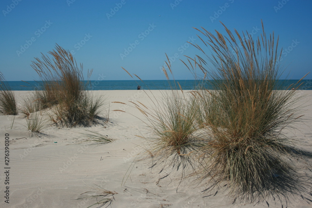 Dunes and golden sand Spanis beach Huelva Dunes and golden sand Spanis beach Huelva