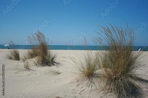 Fototapeta Naklejka Na Ścianę i Meble -  Spanish beach with golden sun and blue sky Huelva