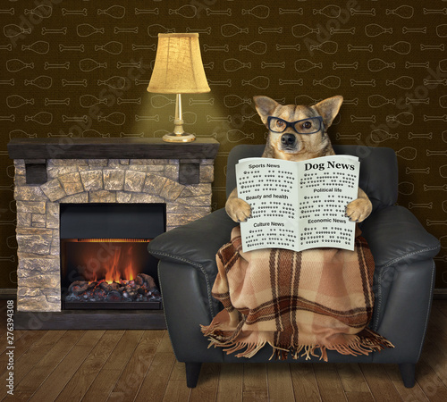 The dog in glasses is reading a newspaper in the black leather armchair with a blanket over his legs near fireplace in the living room. photo