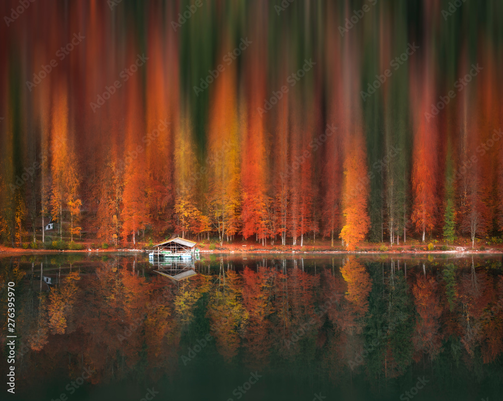 Motion blur autumn forest and water reflection - obrazy, fototapety, plakaty 
