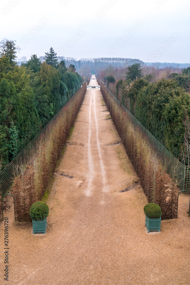 Alley with path line of trees at Versailles garden in winter.