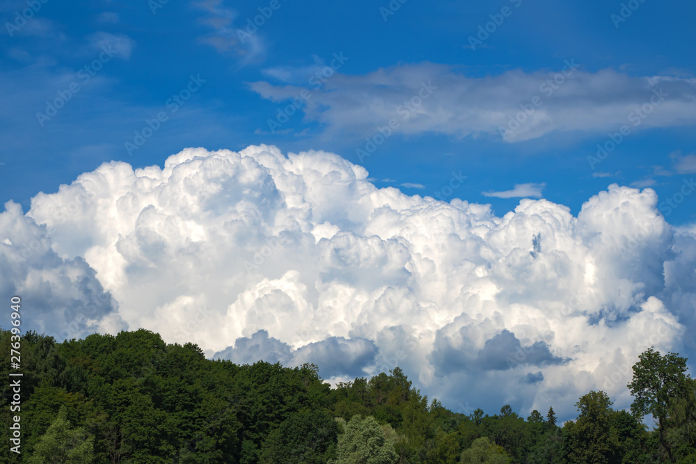 Cumulus white clouds over the tops of the trees on the mountain