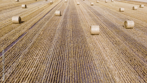 Harvesting wheat in summer.Wheat field after harvest with straw bales . Aerial view from drone.