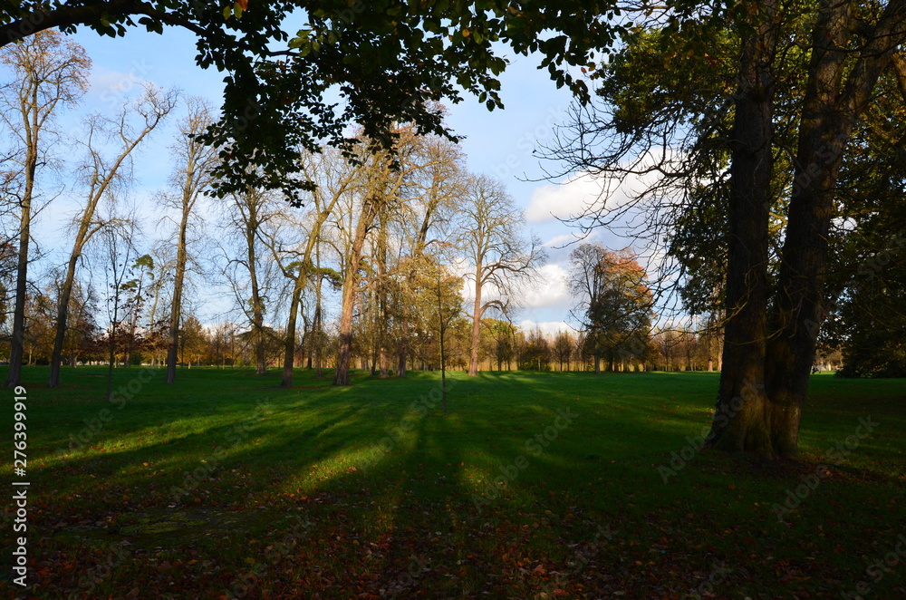 autumn in the park autumn in the park