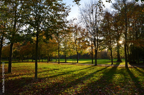 autumn in the park