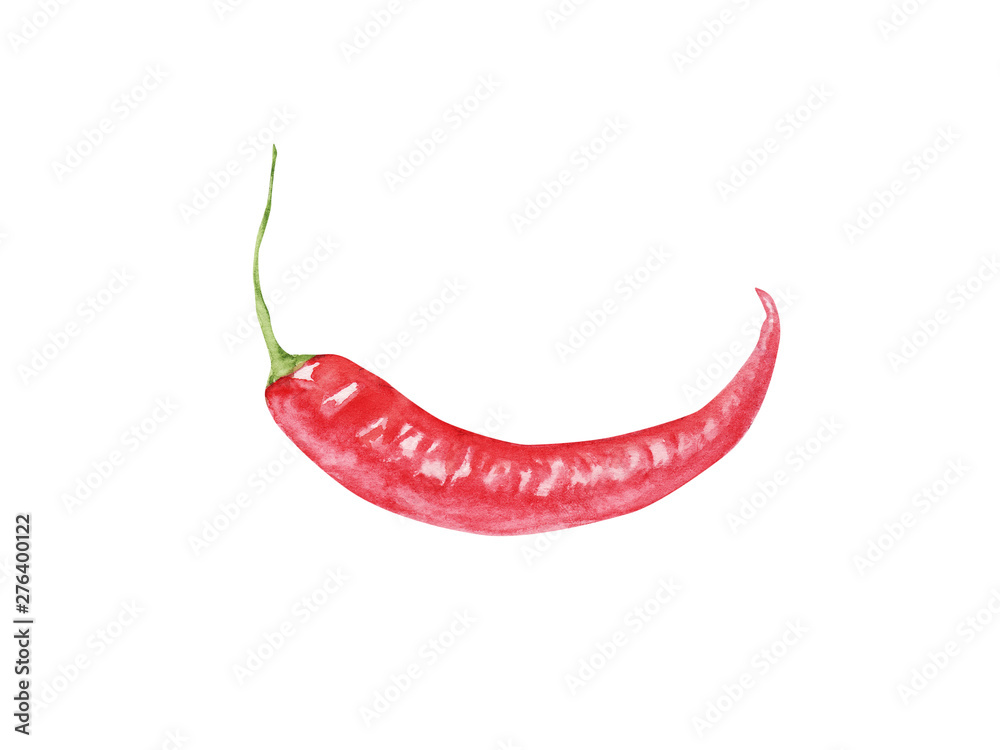 hand painted Watercolor cayenne pepper isolated on white background. red pepper, chilli, whole. for design Food journal, magazine article, recipe book picture, menu . Eco, organic food.