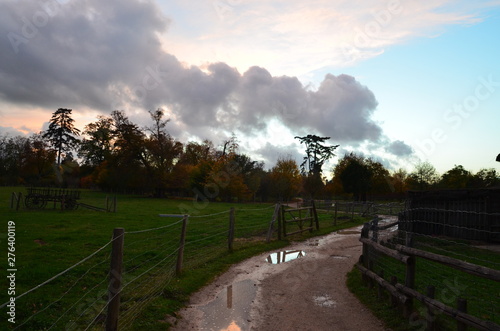 road in the countryside