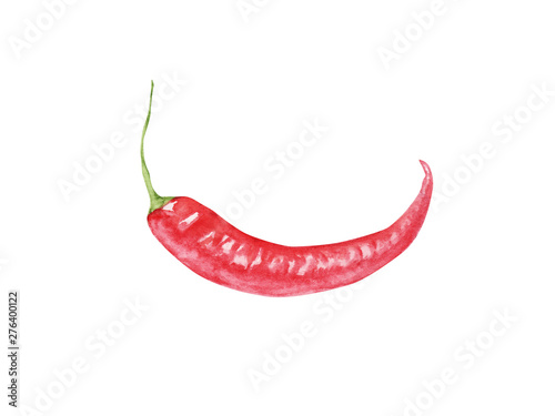 hand painted Watercolor cayenne pepper isolated on white background. red pepper  chilli  whole. for design Food journal  magazine article  recipe book picture  menu . Eco  organic food.