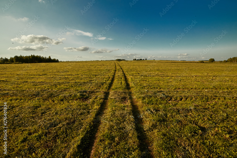 The road in the middle of the meadow in the light of the setting sun