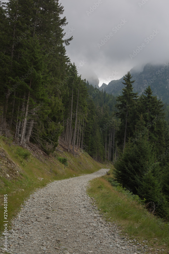 Bergweg in Südtiorl Bergweg in Südtiorl