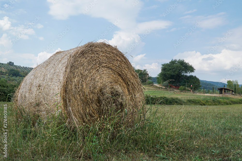 Round straw bales on a field in Tuscany, Italy