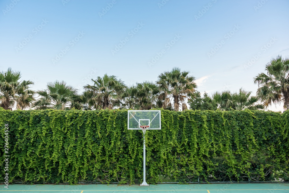 Basketball spielen auf traumhaften Basketballplatz unter Palmen