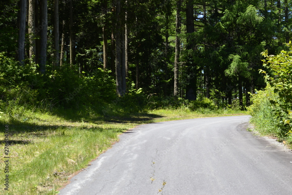 Obraz premium 日本の田舎の道