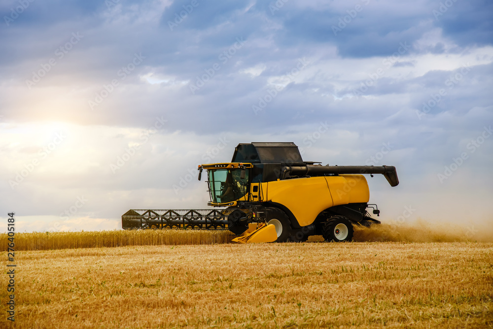 Fototapeta premium Field with combine. Modern farming techniques. Combine harvester.