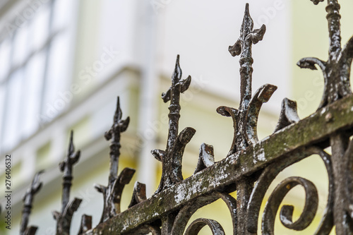 Forged iron fence closed up