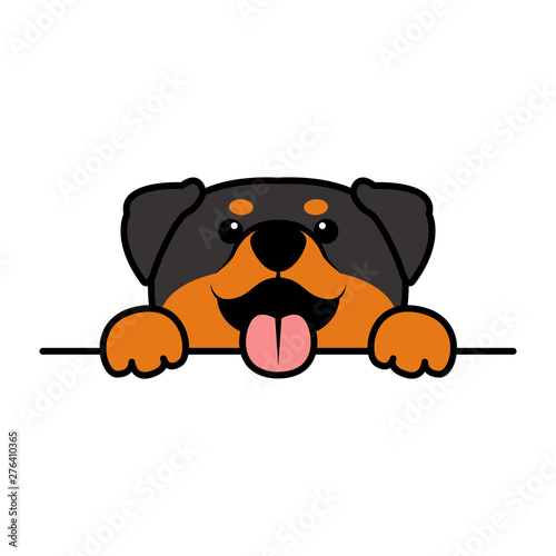 Funny rottweiler dog paws up over wall, dog face cartoon, vector illustration